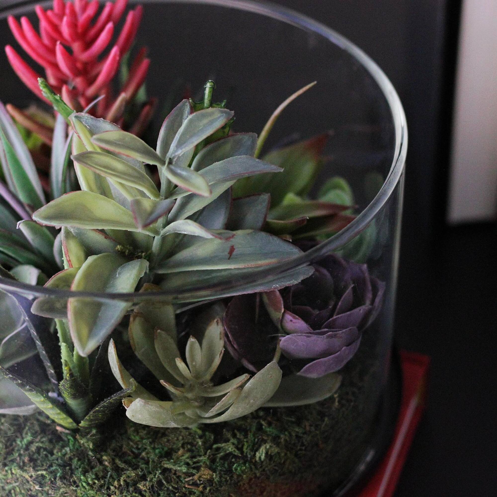 8" Artificial Mixed Succulent Arrangement in Round Glass Jar